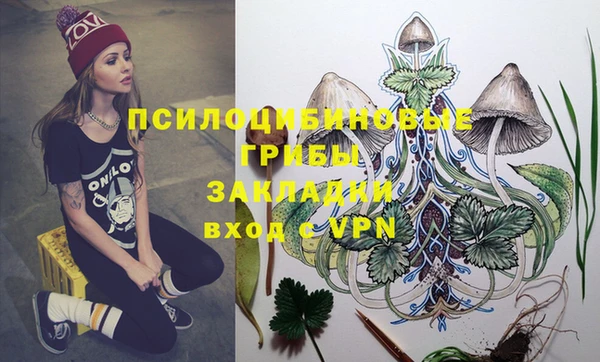мдпв Балахна