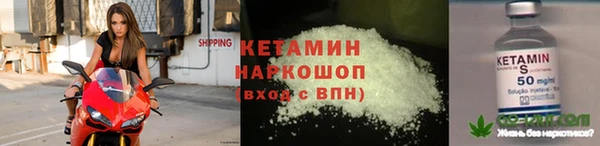 сатива Баксан