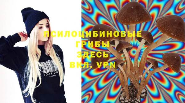 сатива Баксан